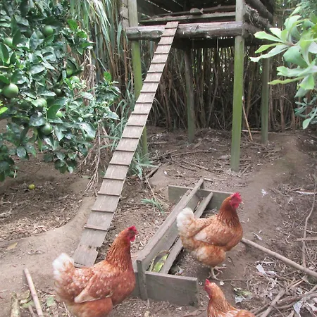 Quinta Da Maria Horta (Azores)