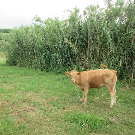 Quinta Da Maria Chalet