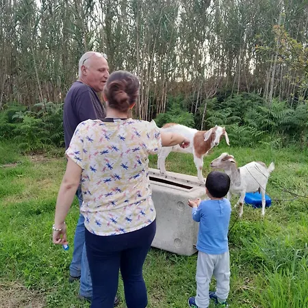 Quinta Da Maria * Horta (Azores)