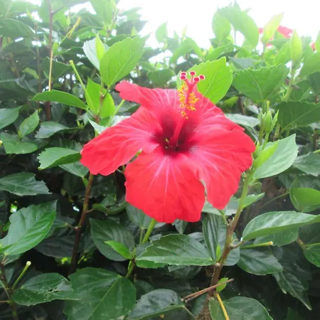 Quinta Da Maria 오르타