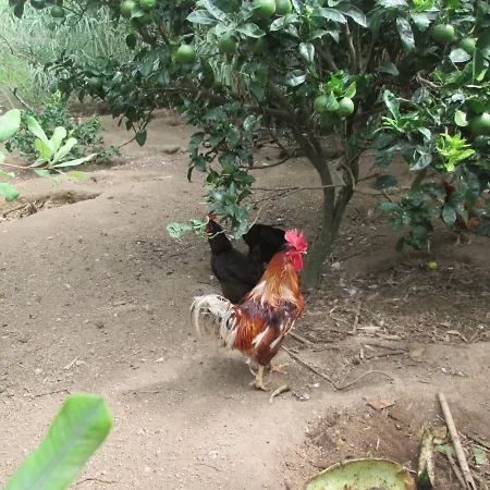 Quinta Da Maria *