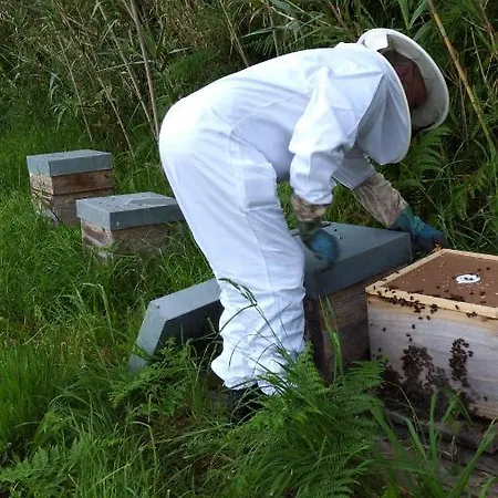 Quinta Da Maria Domek alpejski *