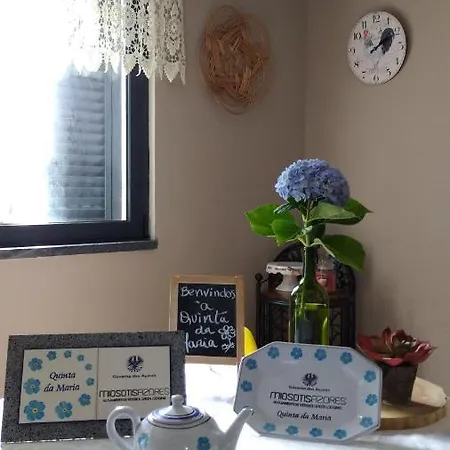 Domek alpejski Quinta Da Maria *