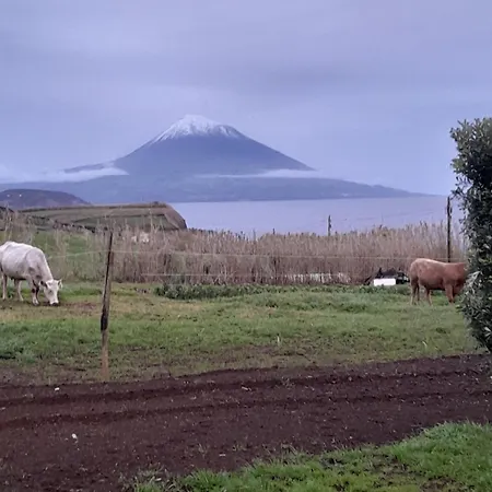 Domek alpejski Quinta Da Maria *