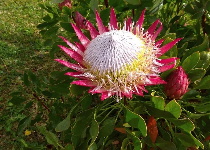 Quinta Da Maria Шале