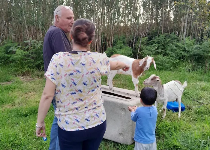 Quinta Da Maria * Орта